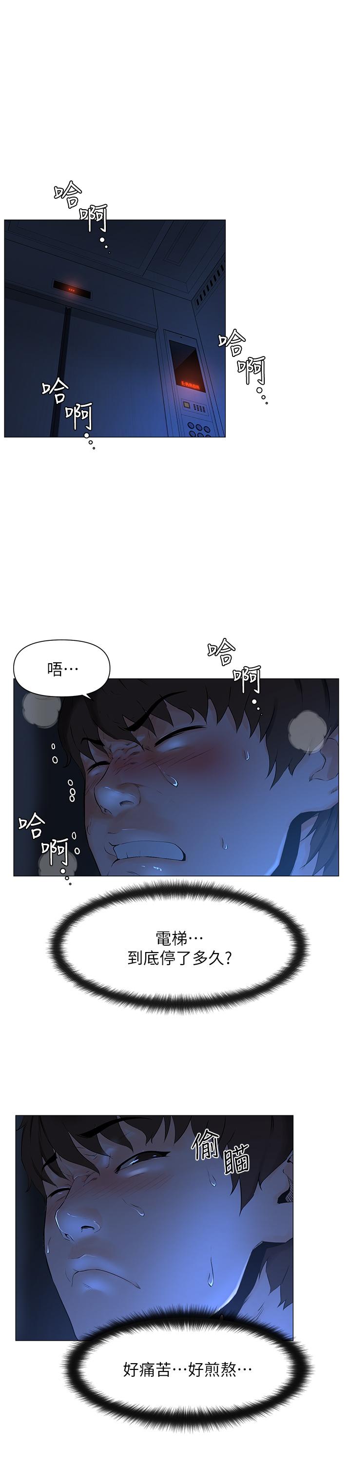 樓上的網美