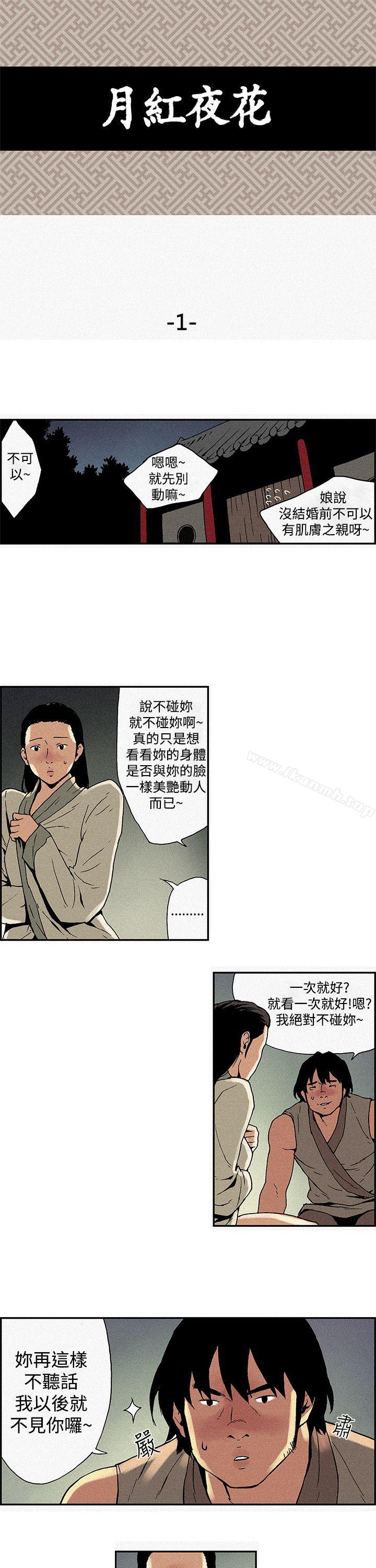 月紅夜花(完結)