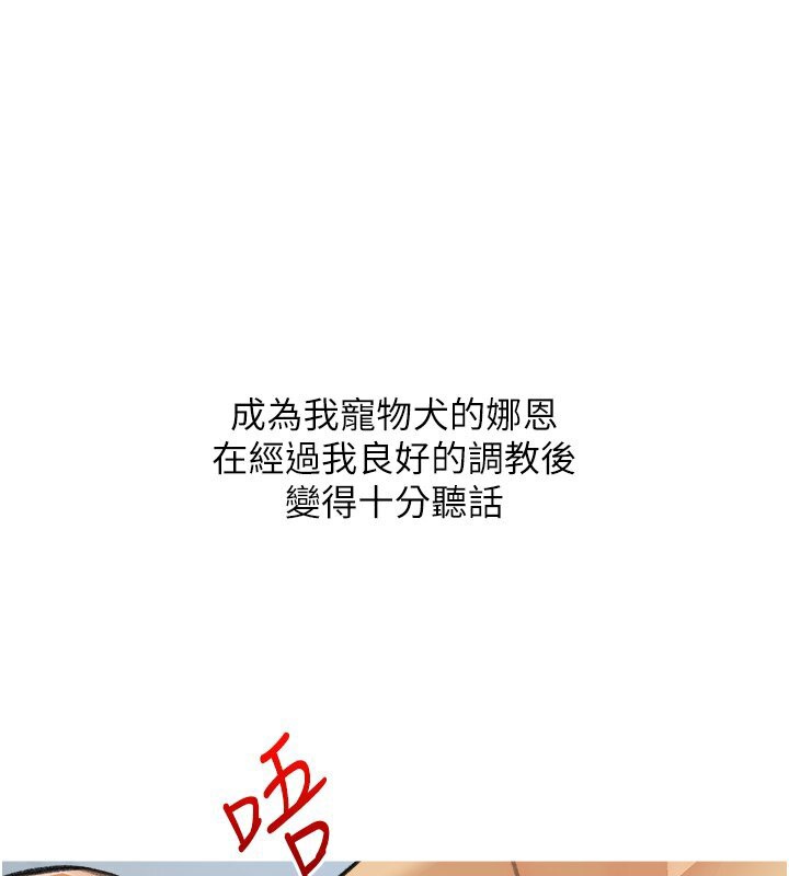 糖果爸爸的搶婚大作戰-小布丁文化传媒